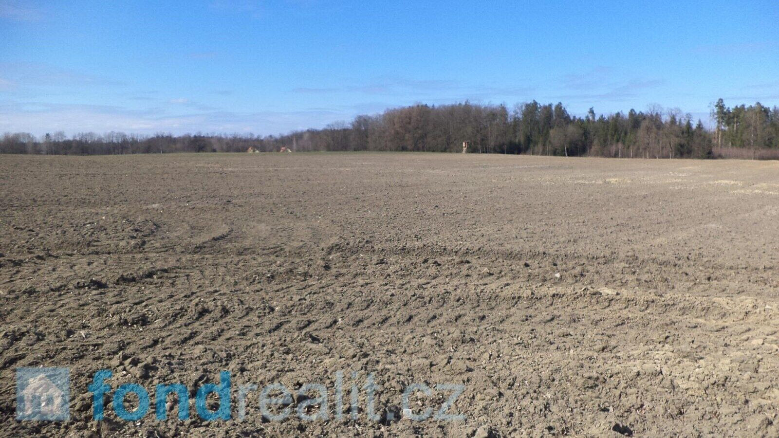 Prodej pole 10 919 m² – fotografie 2