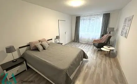 Pronájem bytu 1+1 38 m², Purkyňova, Ústí nad Labem - Střekov