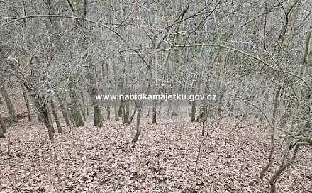 Prodej pozemku 4 390 m², Staňkovice, okres Louny