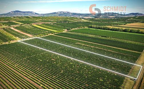 Prodej pozemku 15 935 m², Březí, okres Břeclav