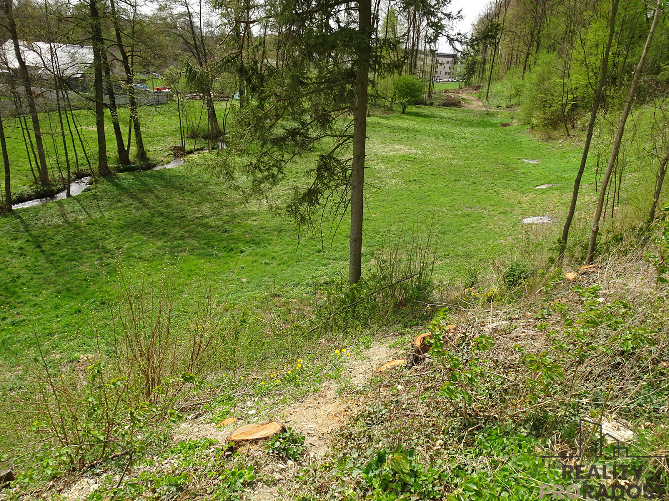 Prodej pozemku, Kvasiny – další