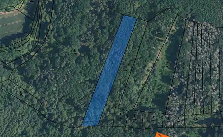 Prodej lesa 1 541 m², Svinošice, okres Blansko
