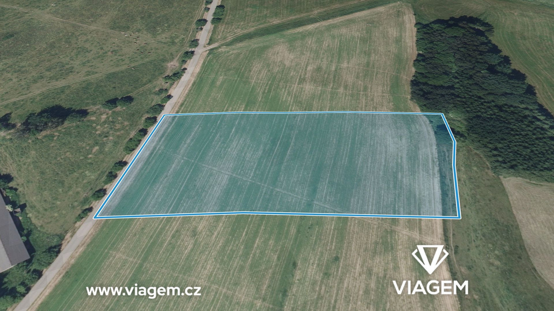 Prodej pole 10 163 m² – fotografie 2