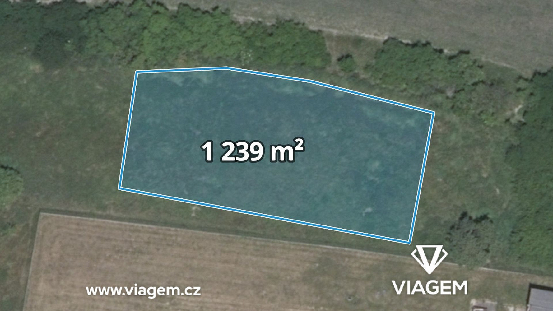 Prodej pole 1 239 m²