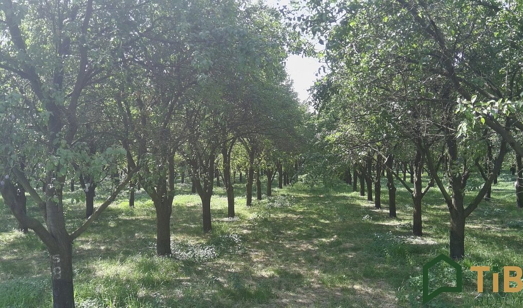 Prodej pole 5 319 m², Vanovice – náhled fotky 5