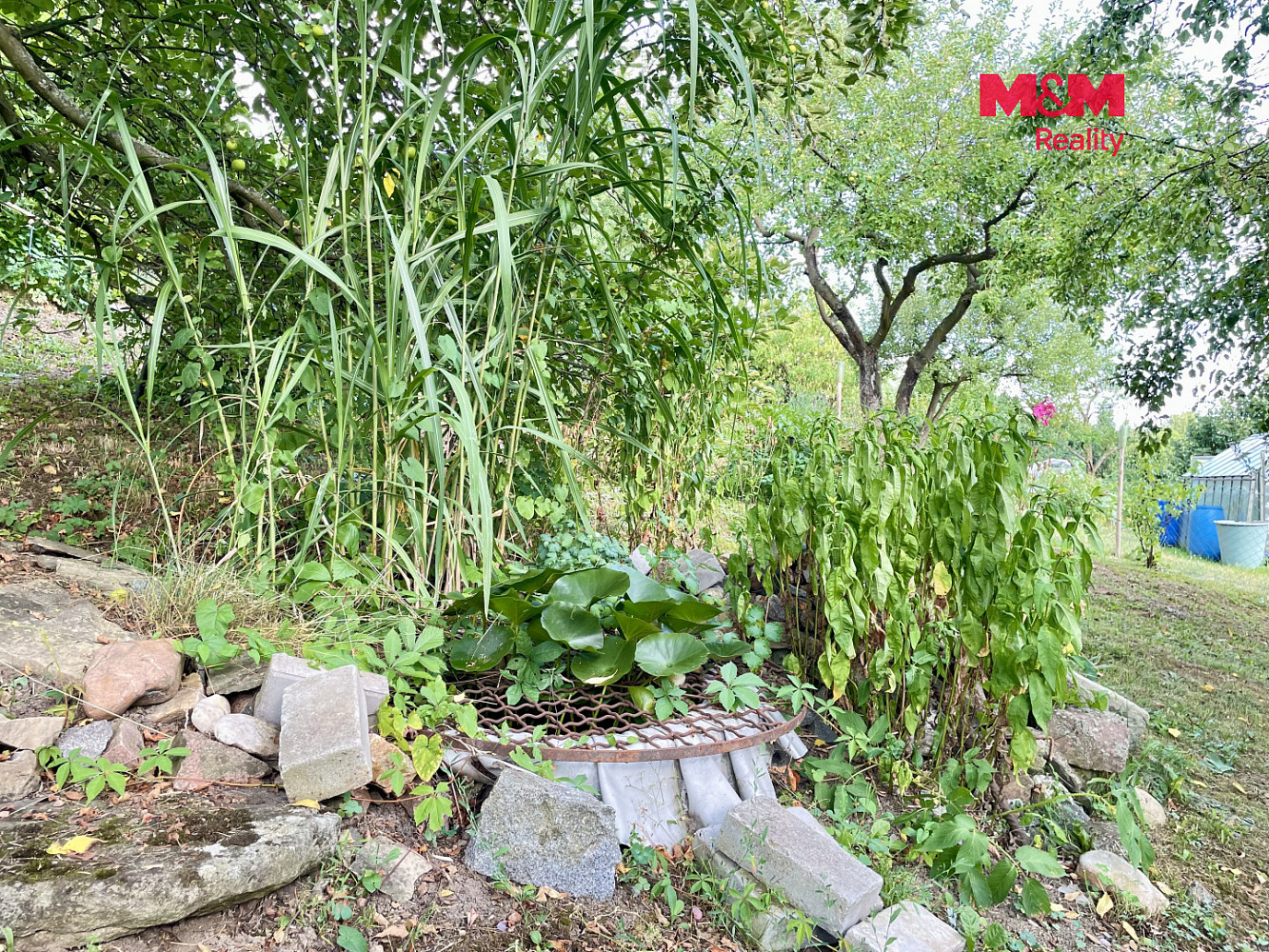 Prodej zahrady 535 m² — photo 4