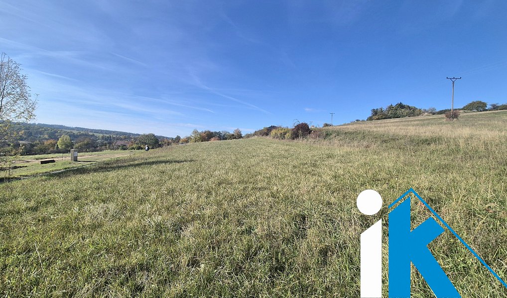 Prodej pole 2 347 m², Dzbel – náhled fotky 5