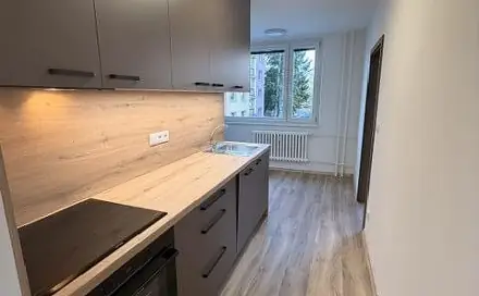 Pronájem bytu 3+1 70 m², Svornosti, Přerov - Přerov I-Město