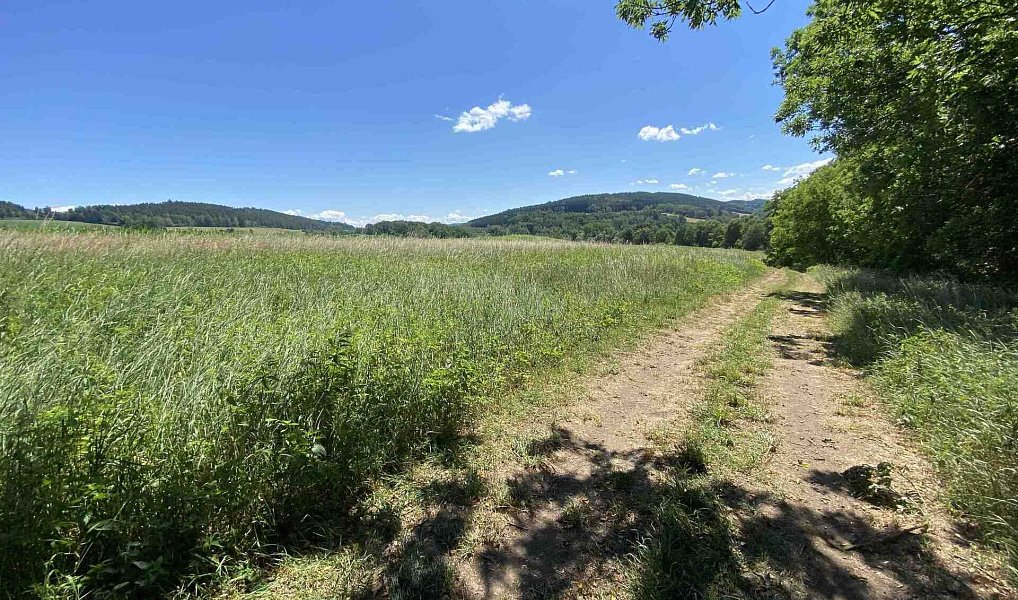 Prodej pole 41 229 m², Kájov – náhled fotky 8