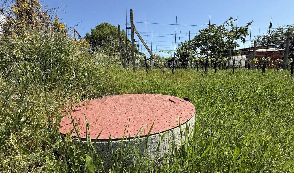 Prodej zahrady 879 m², Dobšice – náhled fotky 4