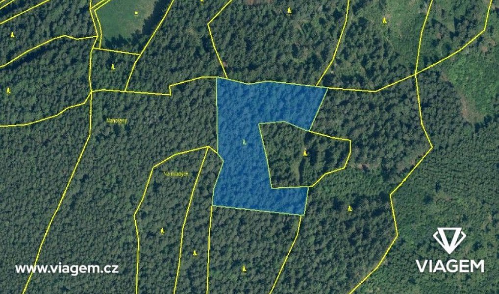 Prodej lesa 1 219 m², Volyně – náhled fotky 3