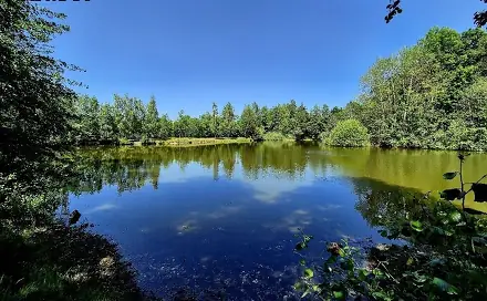Prodej vodní plochy 8 425 m², Obruby, okres Mladá Boleslav