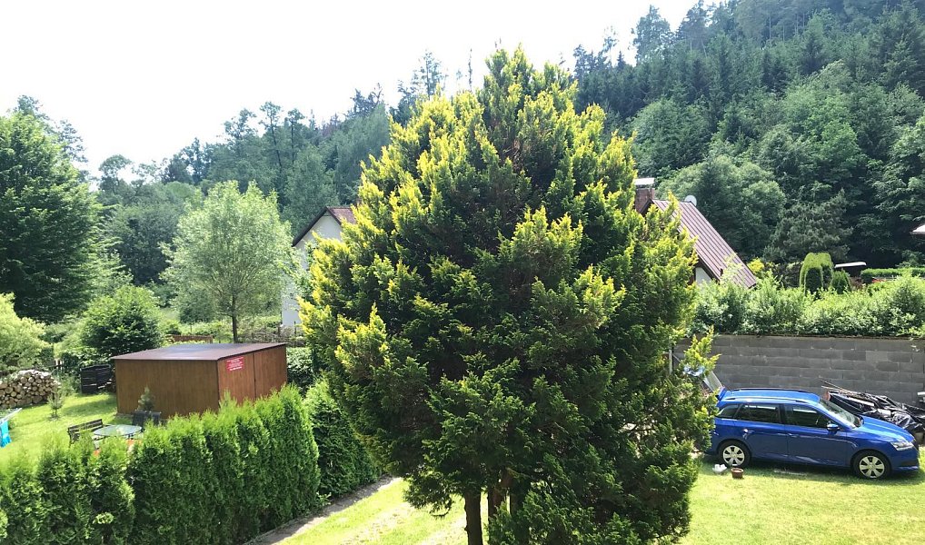 Prodej chaty/chalupy 80 m² s pozemkem 854 m², Černé Voděrady – náhled fotky 15