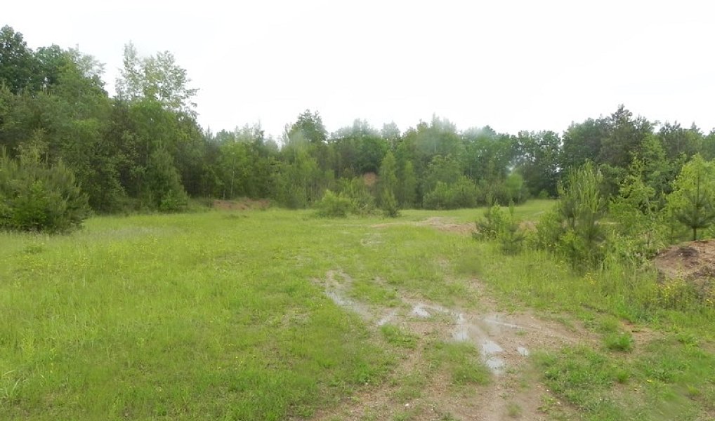Prodej pozemku 32 257 m², Bohušov – náhled fotky 5