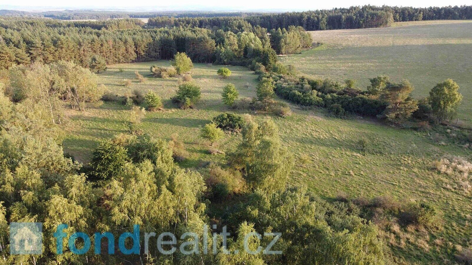 Prodej pole 7 261 m² – fotografie 4