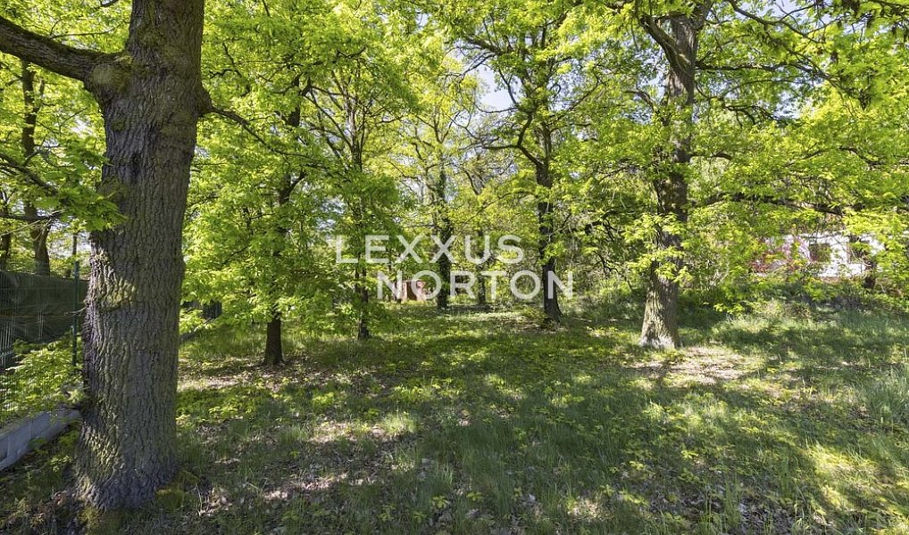 Prodej stavebního pozemku 1 282 m², Černošice – náhled fotky 2
