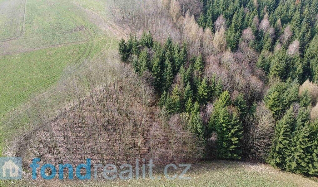 Prodej pole 7 831 m², Krchleby – náhled fotky 3