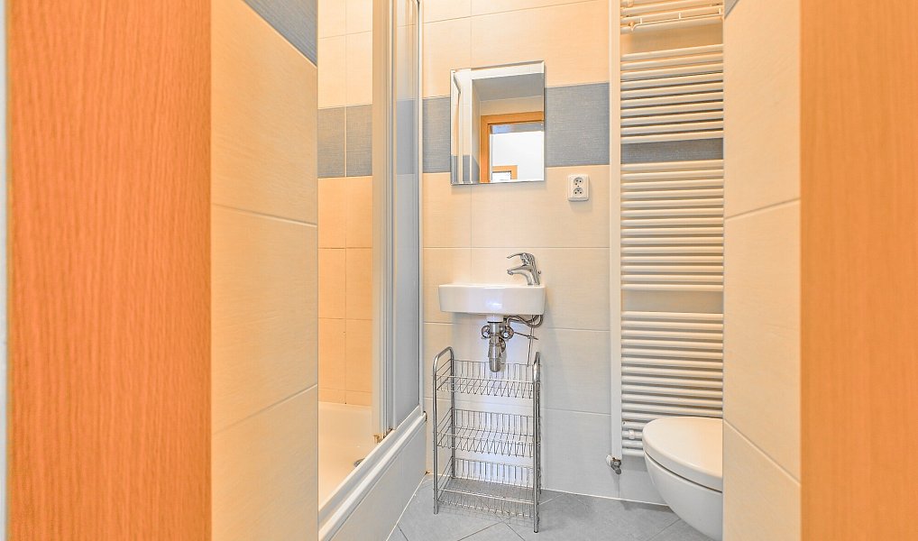 Pronájem bytu 1+kk 20 m², Brno – náhled fotky 10