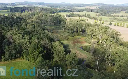 Prodej pozemku 24 285 m², Dolní Dvořiště - Rychnov nad Malší, okres Český Krumlov