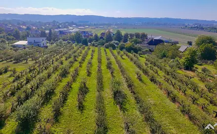 Prodej zahrady 8 522 m², Lipník nad Bečvou, okres Přerov