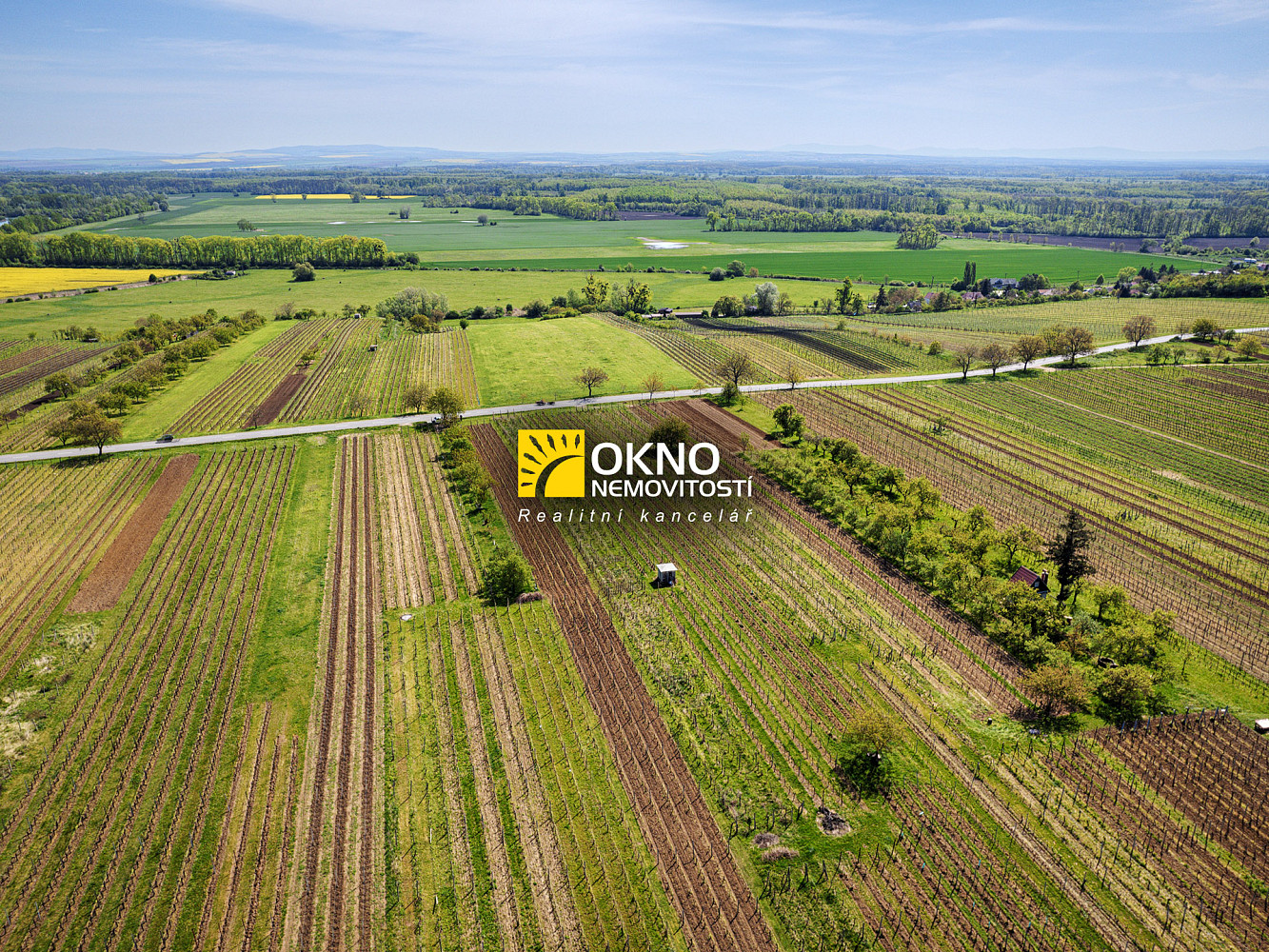 Rovinný pozemek - vinice – pohled 4
