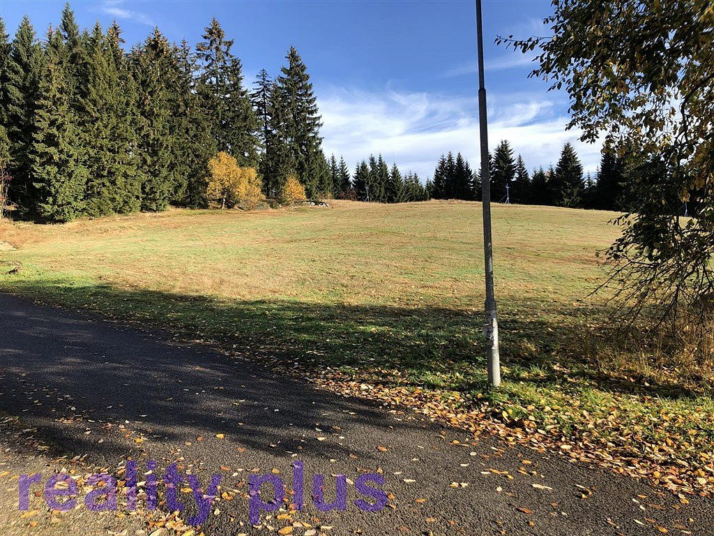 Prodej louky 6 951 m² – fotografie 3