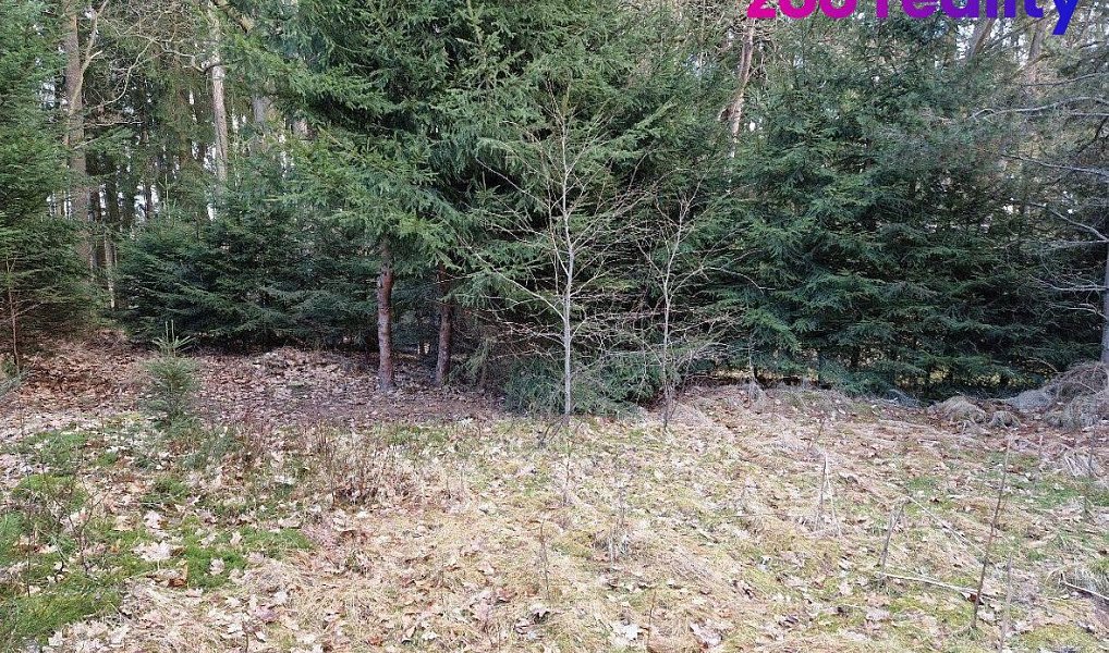 Prodej stavebního pozemku 665 m², Staňkov – náhled fotky 4