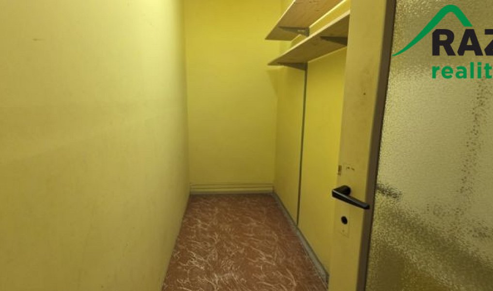 Prodej bytu 2+1 60 m², Planá – náhled fotky 10