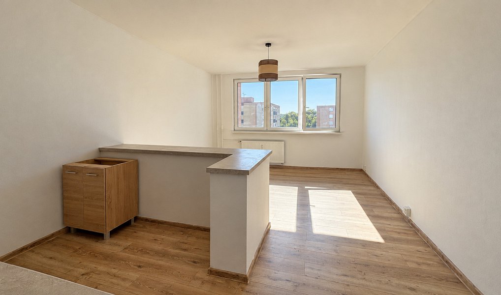 Pronájem bytu 1+kk 33 m², Orlová – náhled fotky 8