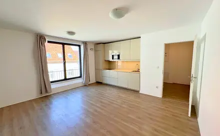 Pronájem bytu 1+kk 36 m², Pod Barvířkou, Praha 5 - Smíchov