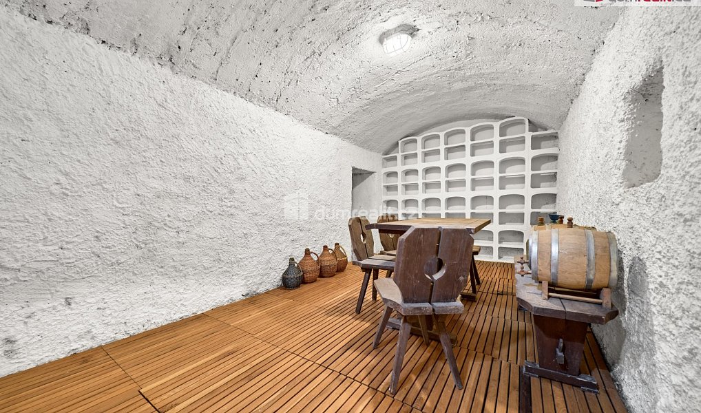 Prodej domu 630 m² s pozemkem 83 559 m², Okounov – náhled fotky 5