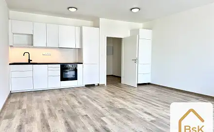 Pronájem bytu 1+kk 44 m²