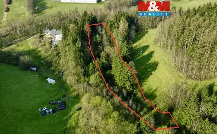 Prodej lesa 4 113 m², Dolní Dobrouč - Lanšperk, okres Ústí nad Orlicí