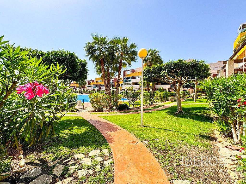 Pis 3+kk – Playa Flamenca - Vista 5