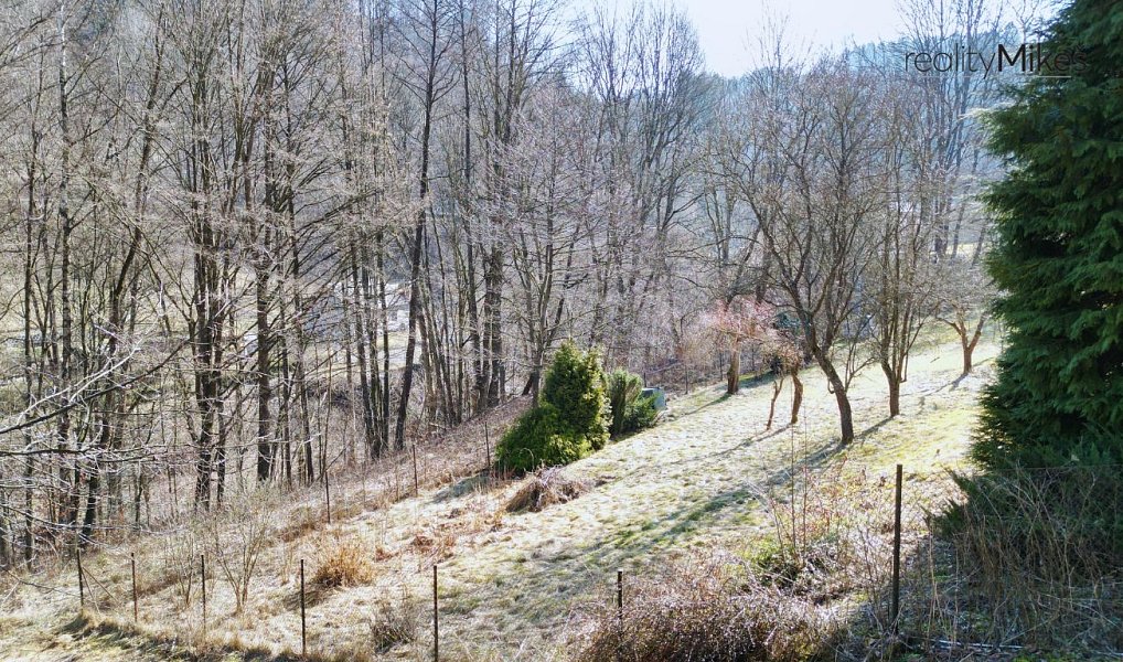 Prodej zahrady 369 m², Železný Brod – náhled fotky 7