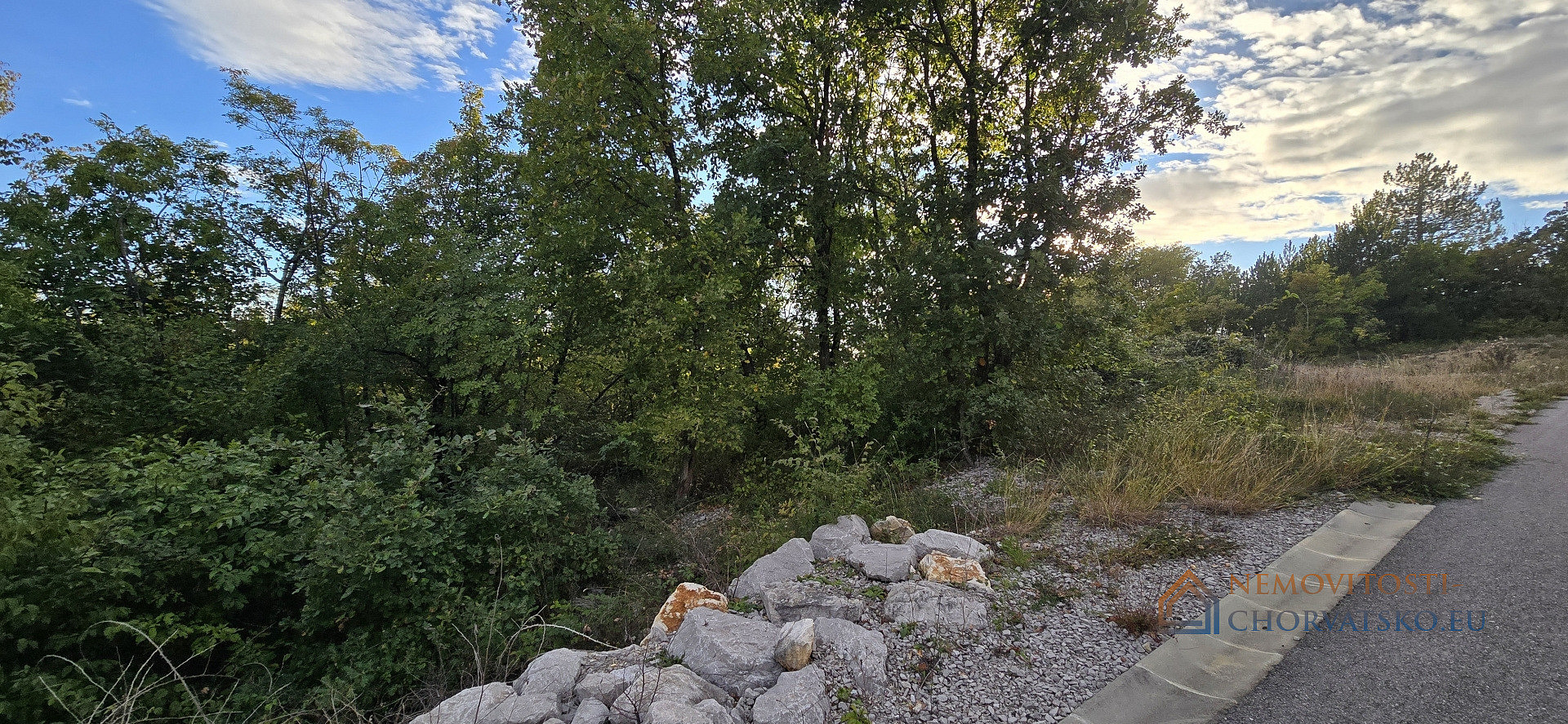 Prodej stavebního pozemku 13 280 m² - Widok 5