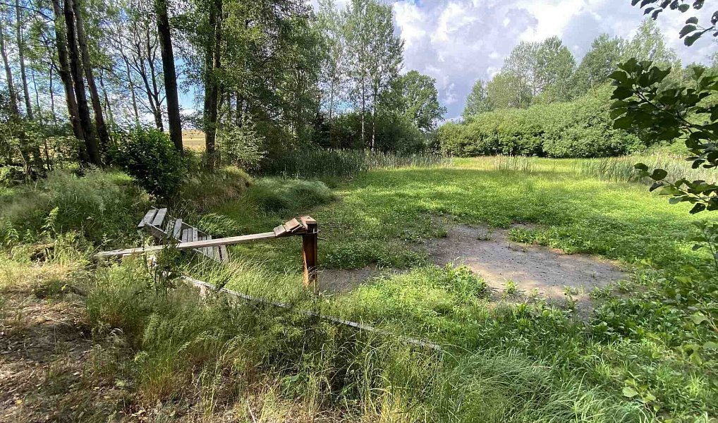 Prodej louky 10 951 m², Trhové Sviny – náhled fotky 12