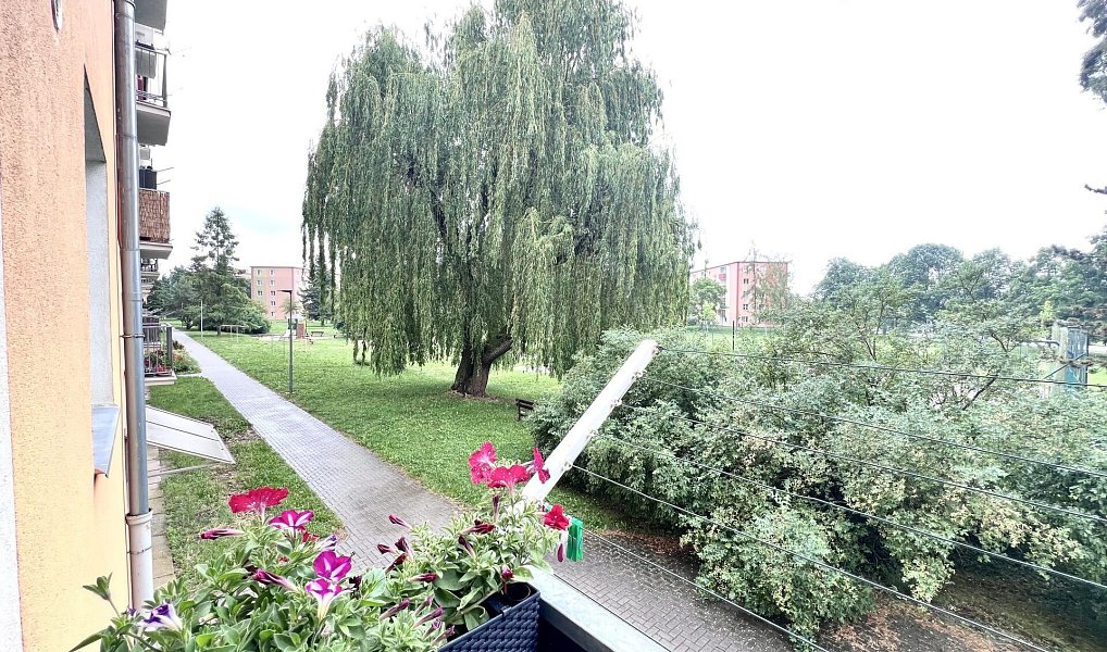 Prodej bytu 2+1 51 m², Uničov – náhled fotky 3