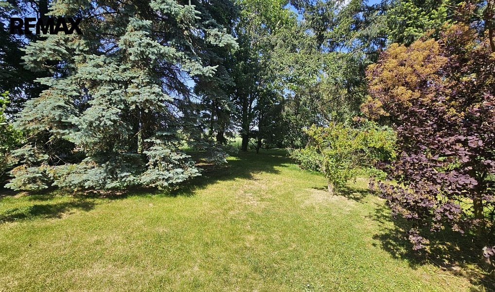 Prodej stavebního pozemku 1 391 m², Oleška – náhled fotky 4