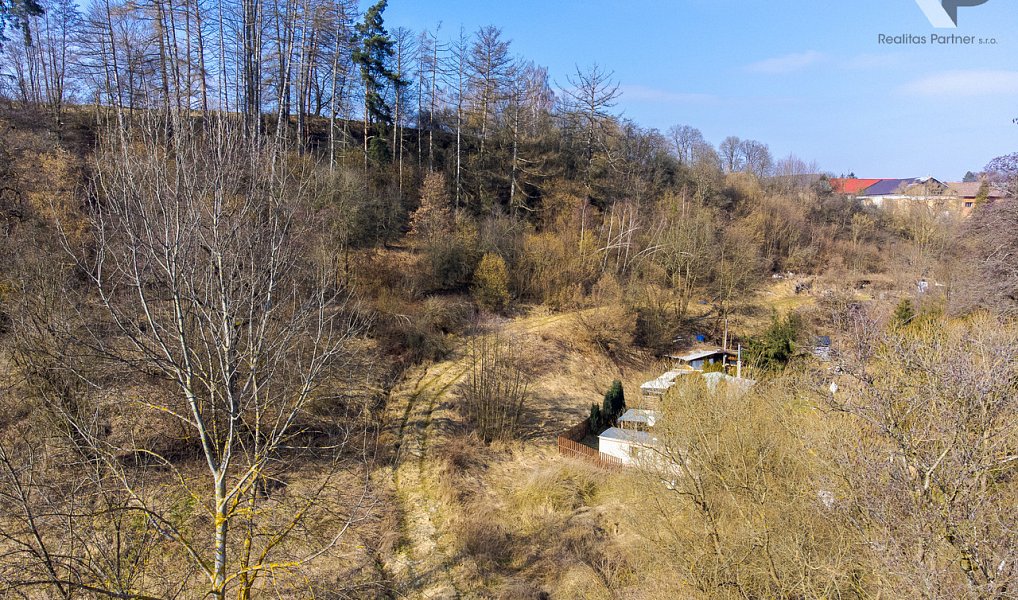 Prodej stavebního pozemku 3 388 m², Luka nad Jihlavou – náhled fotky 8