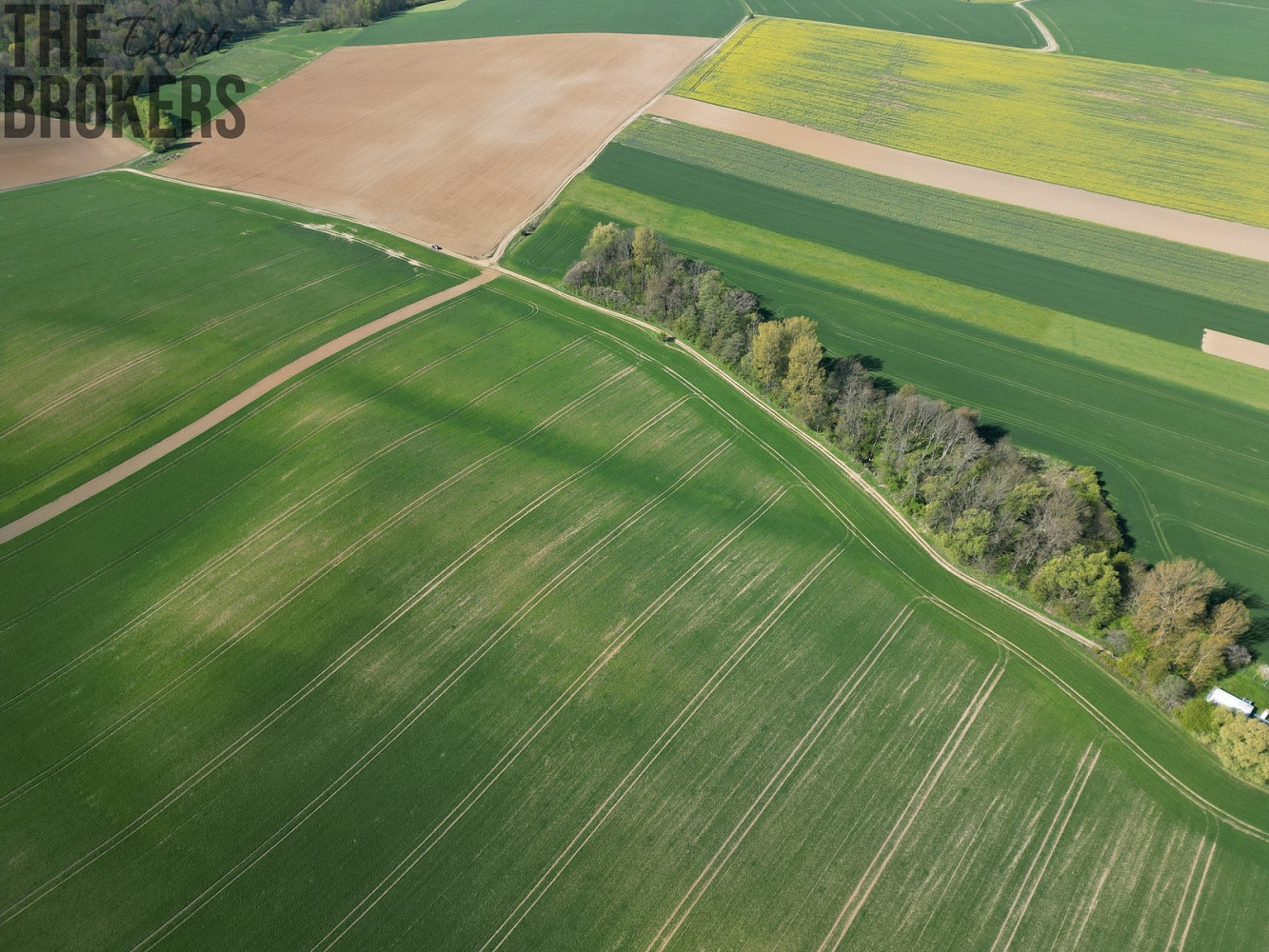 Prodej pole 30 796 m² – fotografie 4