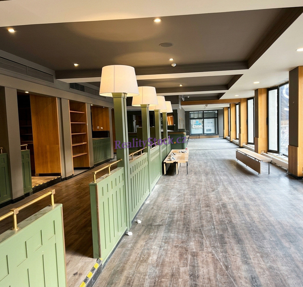 Pronájem obchodních prostor 200 m²