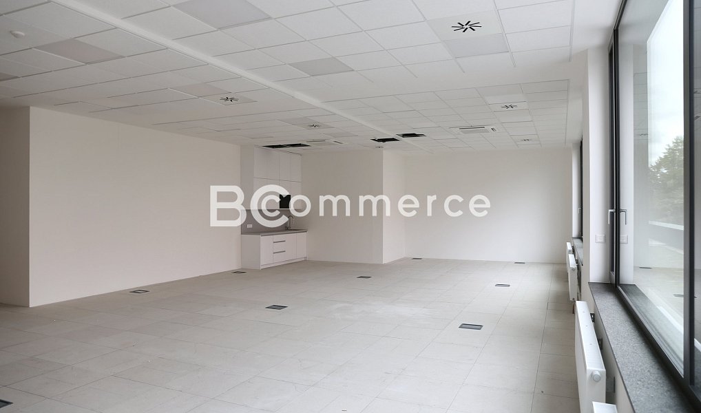 Pronájem kanceláře 500 m², Brno – náhled fotky 4
