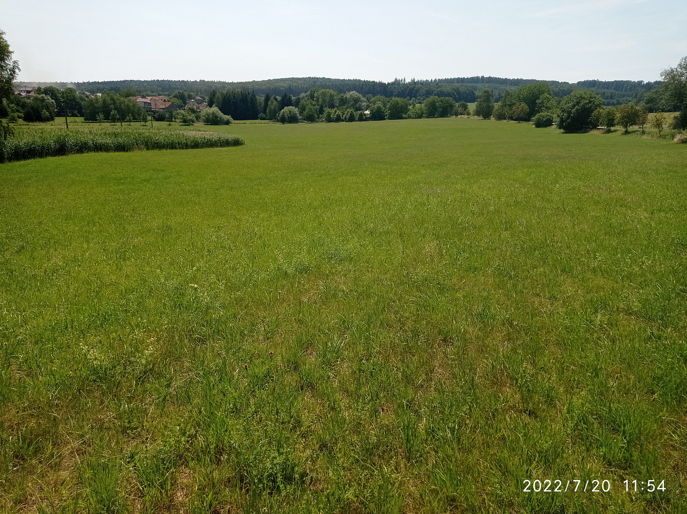 Prodej stavebního pozemku 13 356 m² — photo 5