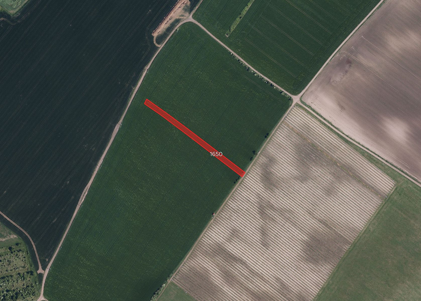 Prodej pole 10 445 m² – fotografie 2