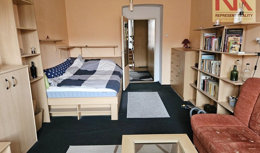 Pronájem bytu 1+1 34 m², Plzeň – fotka 1 z 7