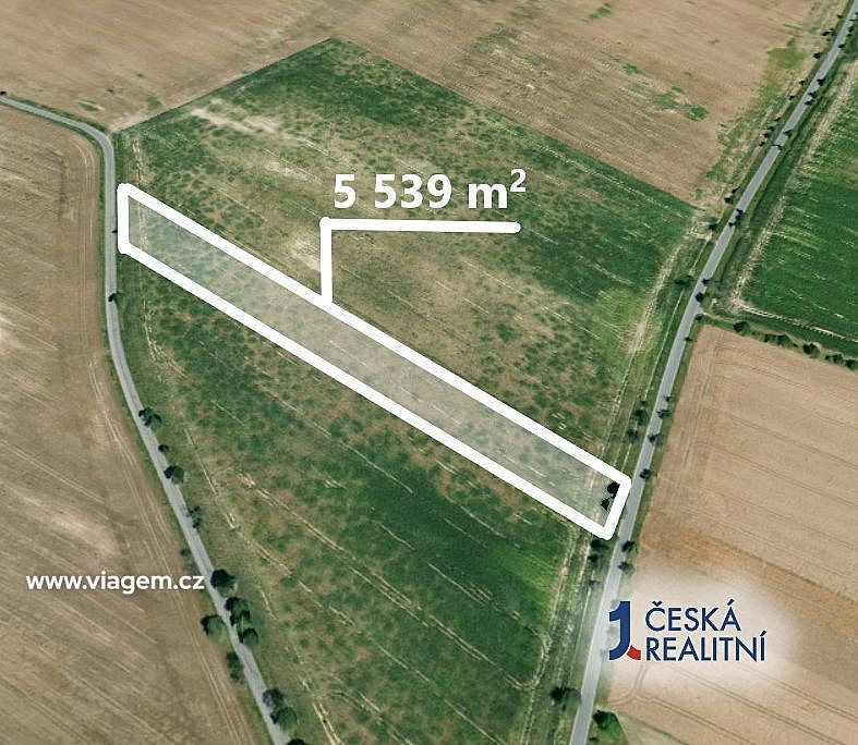 Prodej pole 1 846 m² – fotografie 2