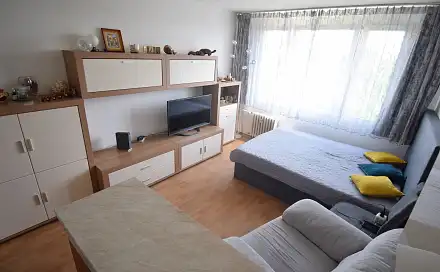 Prodej bytu 1+kk 24 m²
