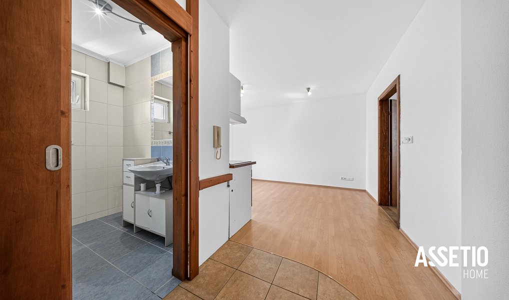 Prodej bytu 1+1 43 m², Frýdek-Místek – náhled fotky 6