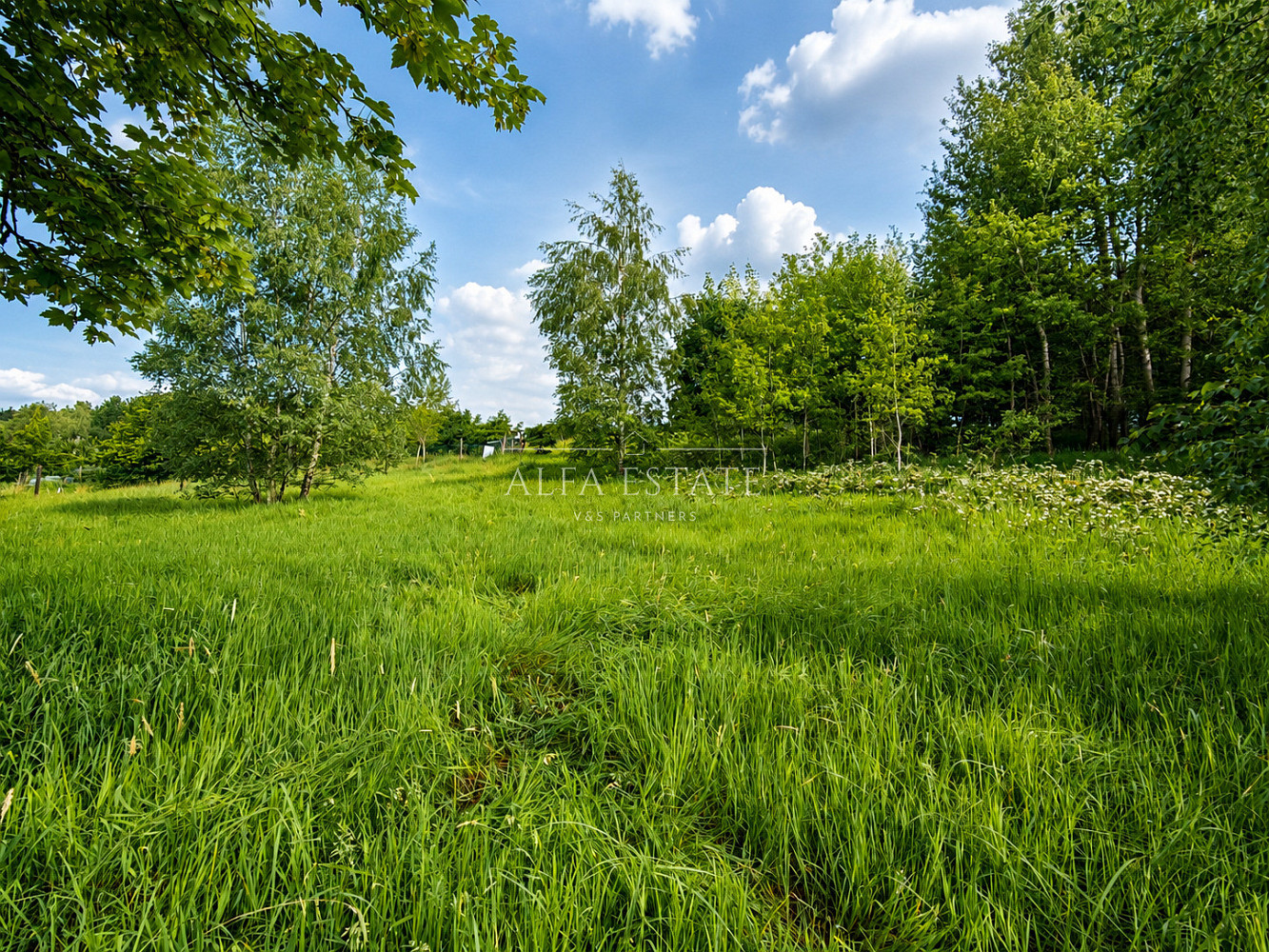 Pozemek 426m², obec Oloví – další